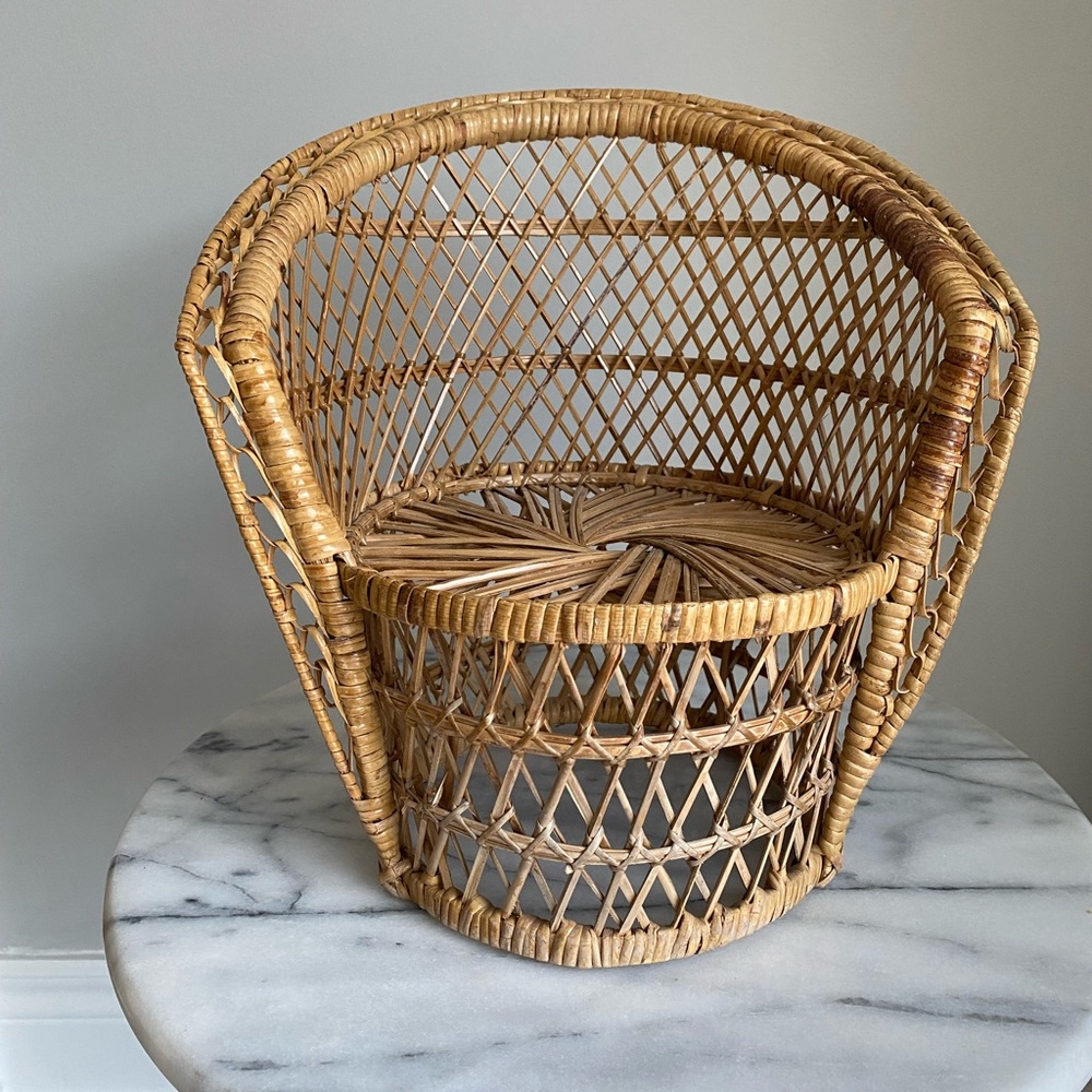 Vintage Peacock Chair Plant Stand - boho decor